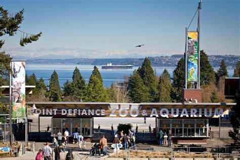 Point defiance zoo - Point Defiance Zoo & Aquarium is located within Point Defiance Park, a Tacoma city park that spreads over 700-plus acres. 5400 North Pearl Street·. Tacoma, Washington 98407. (253) 591-5337.